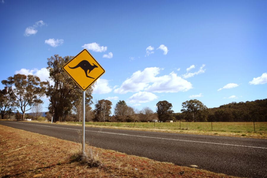 Roadside warning sign with a kangaroo symbol indicating caution for crossing wildlife in a rural setting.